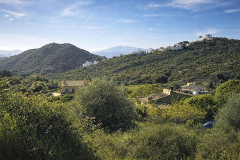 Tomt i Benimeli, Alicante, Benimeli - € 83 000 | Ref: PNPT297 - foto 22